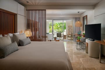 a bedroom with a television and a large bed