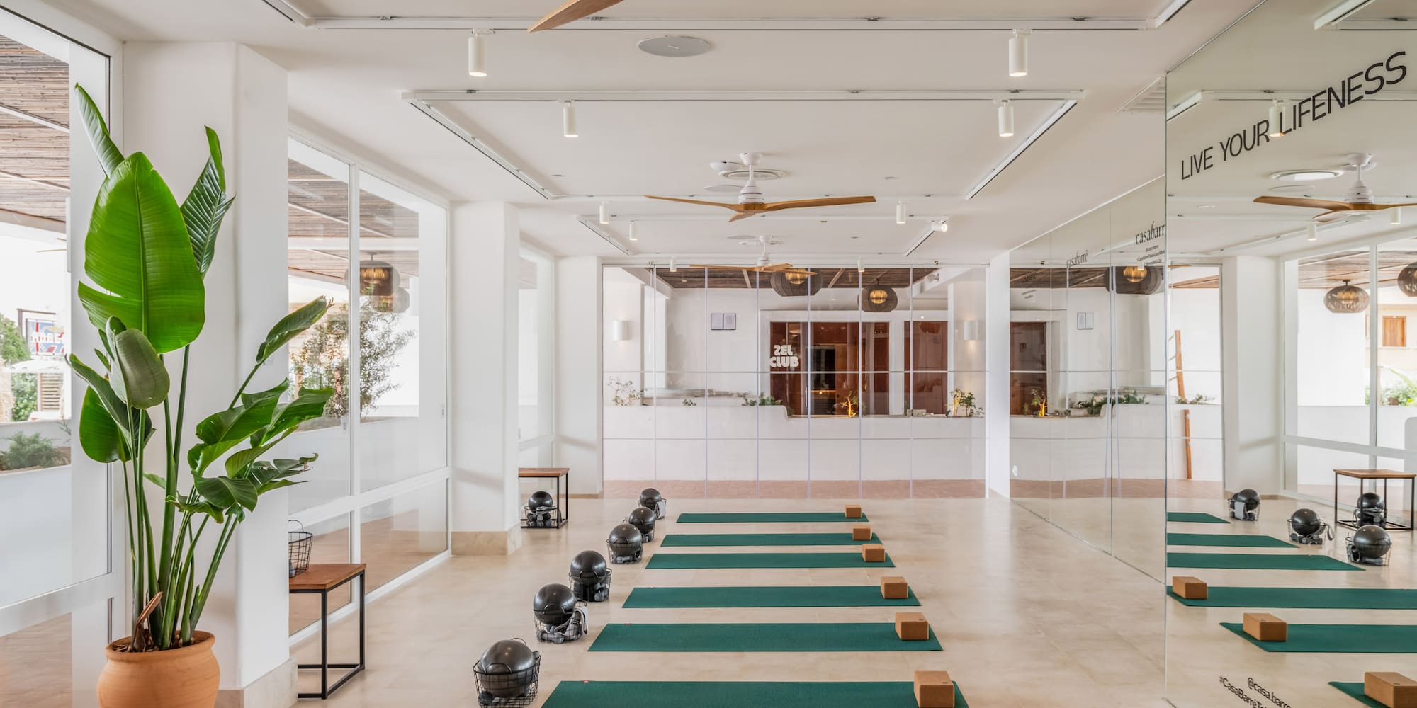 a room with mats and a plant in front of a mirror