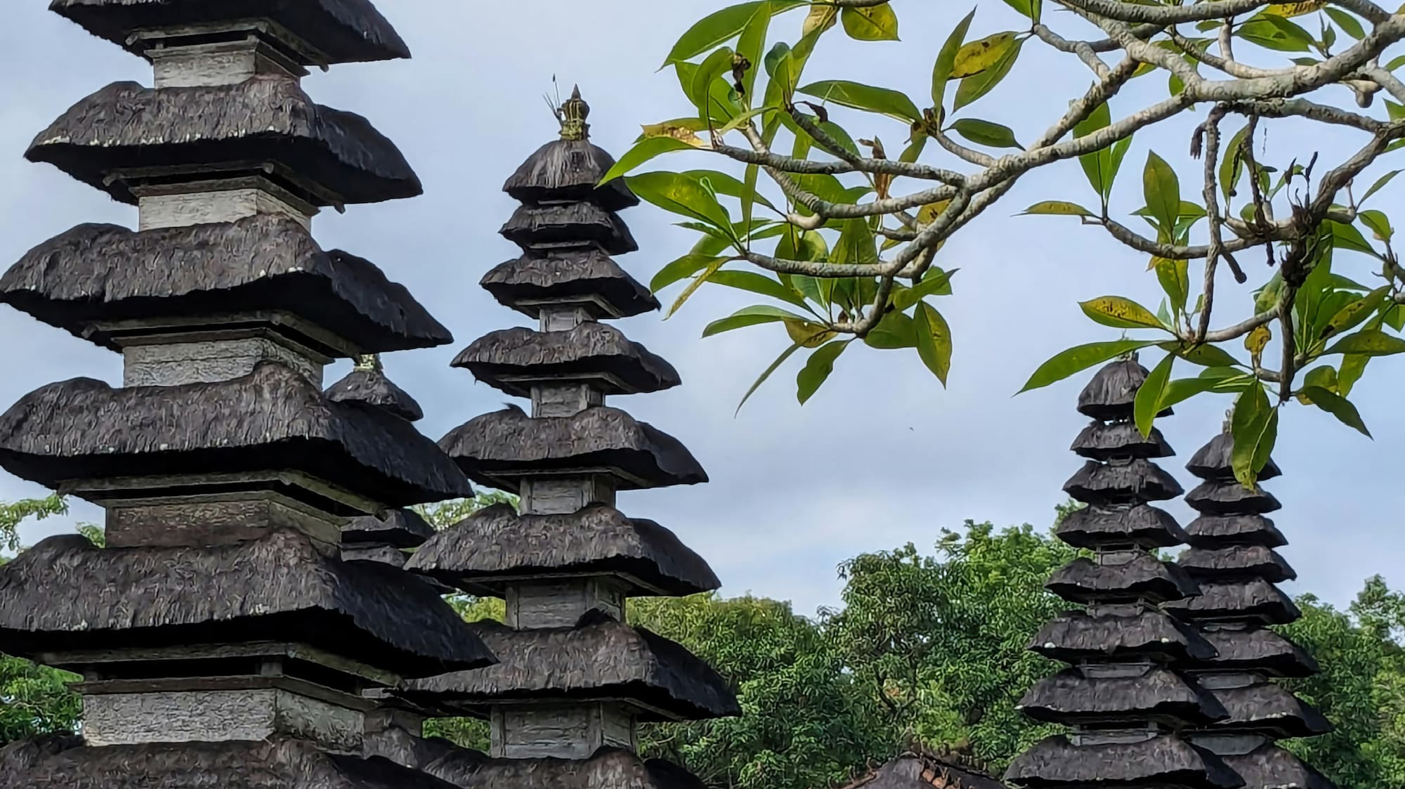 a group of wooden buildings with a tree in the background with Small Wild Goose Pagoda in the background