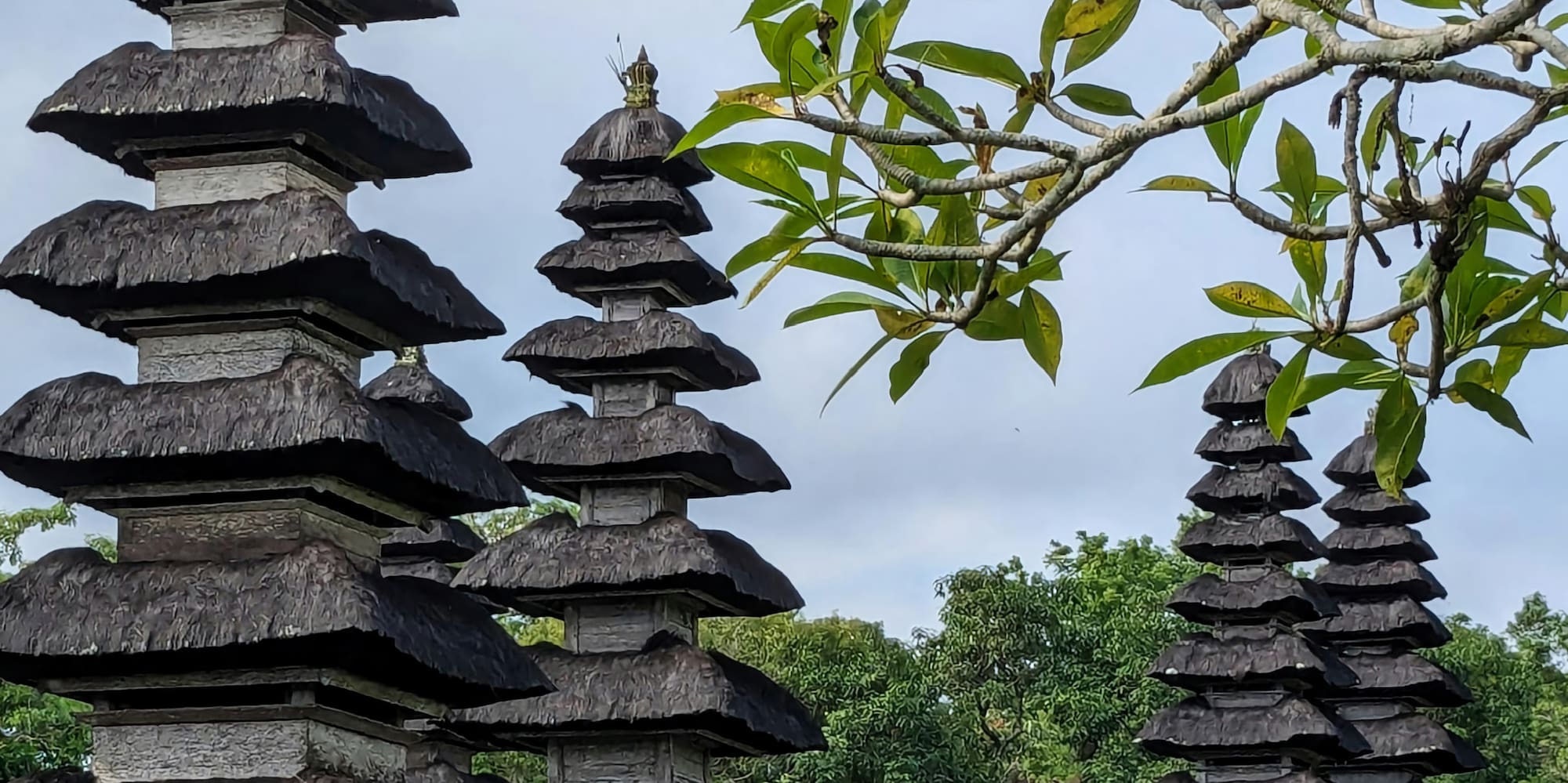a group of wooden buildings with a tree in the background with Small Wild Goose Pagoda in the background