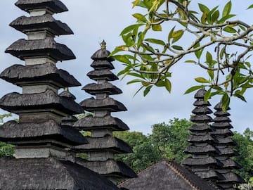 a group of wooden buildings with a tree in the background with Small Wild Goose Pagoda in the background