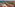 Rooftop terrace with ocean, beach, palm trees, and luxury resort view.