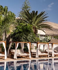 a pool with lounge chairs and palm trees