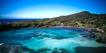 a body of water with trees and a hill in the background
