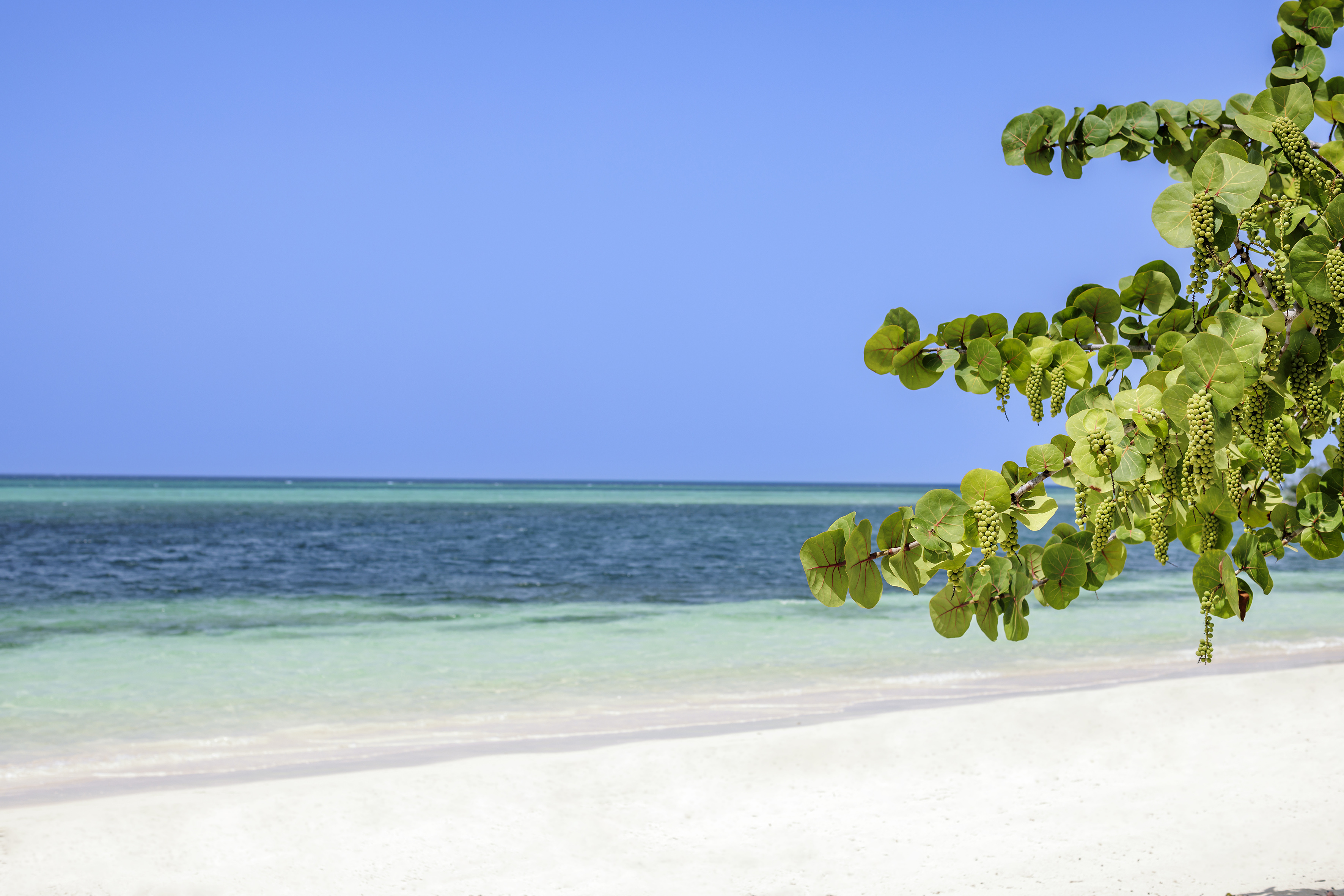 Sol Turquesa Beach - Playa - Actividades