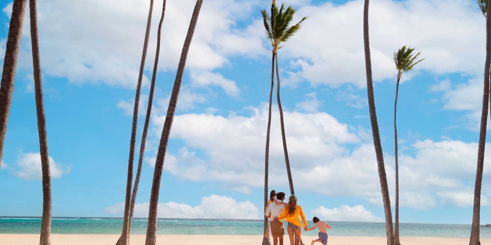 a group of people on a beach with palm trees