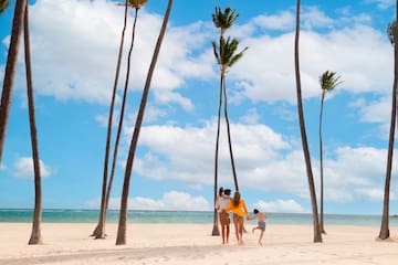 a group of people on a beach with palm trees