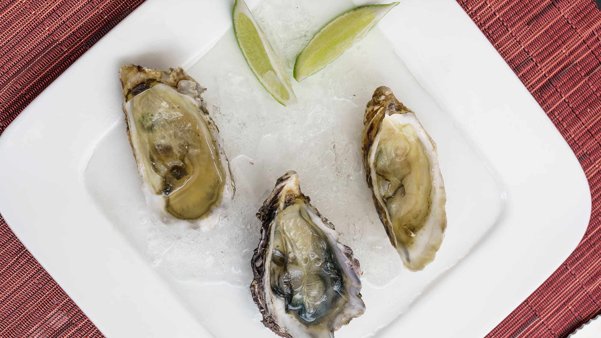 a plate of oysters and limes