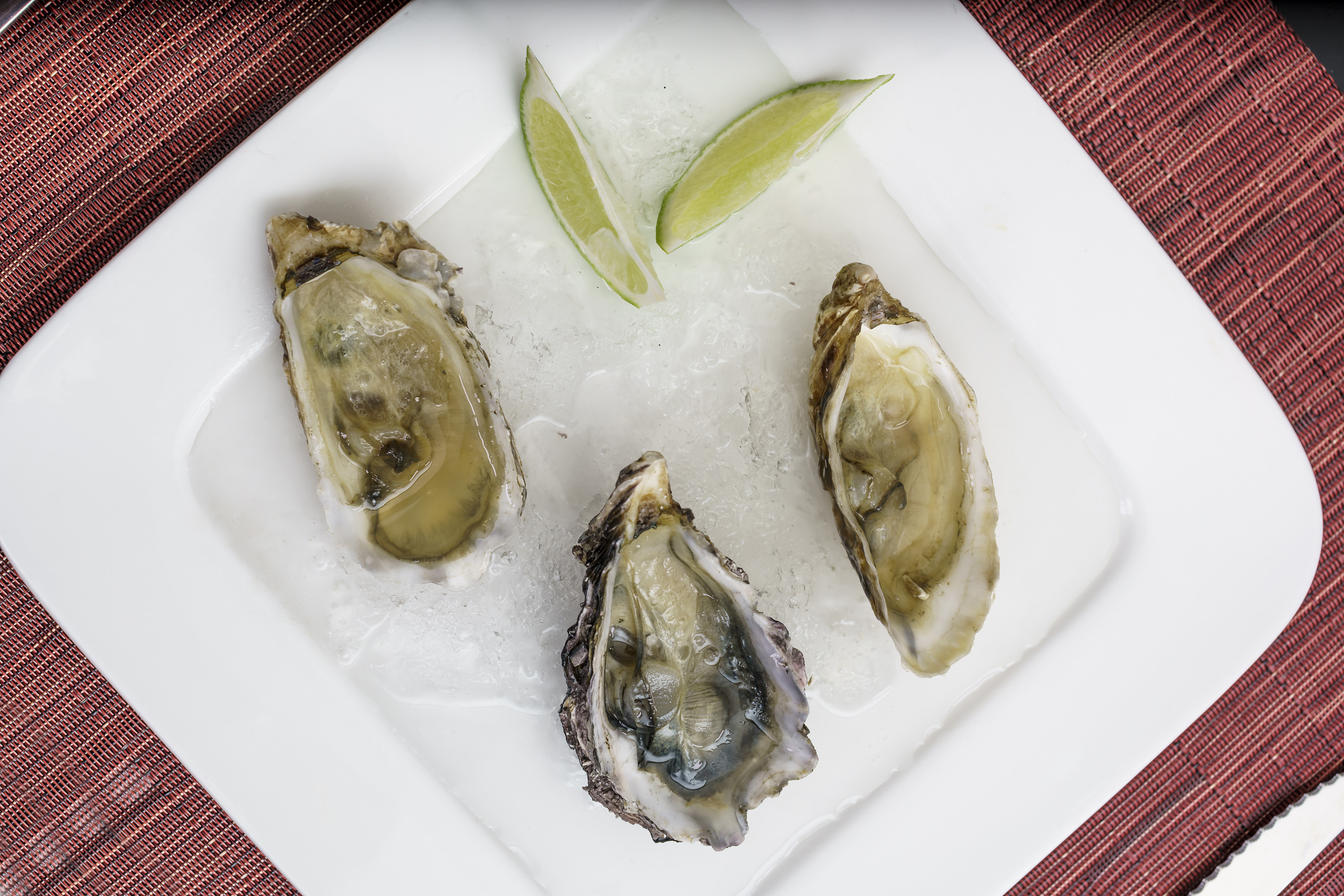 a plate of oysters and limes