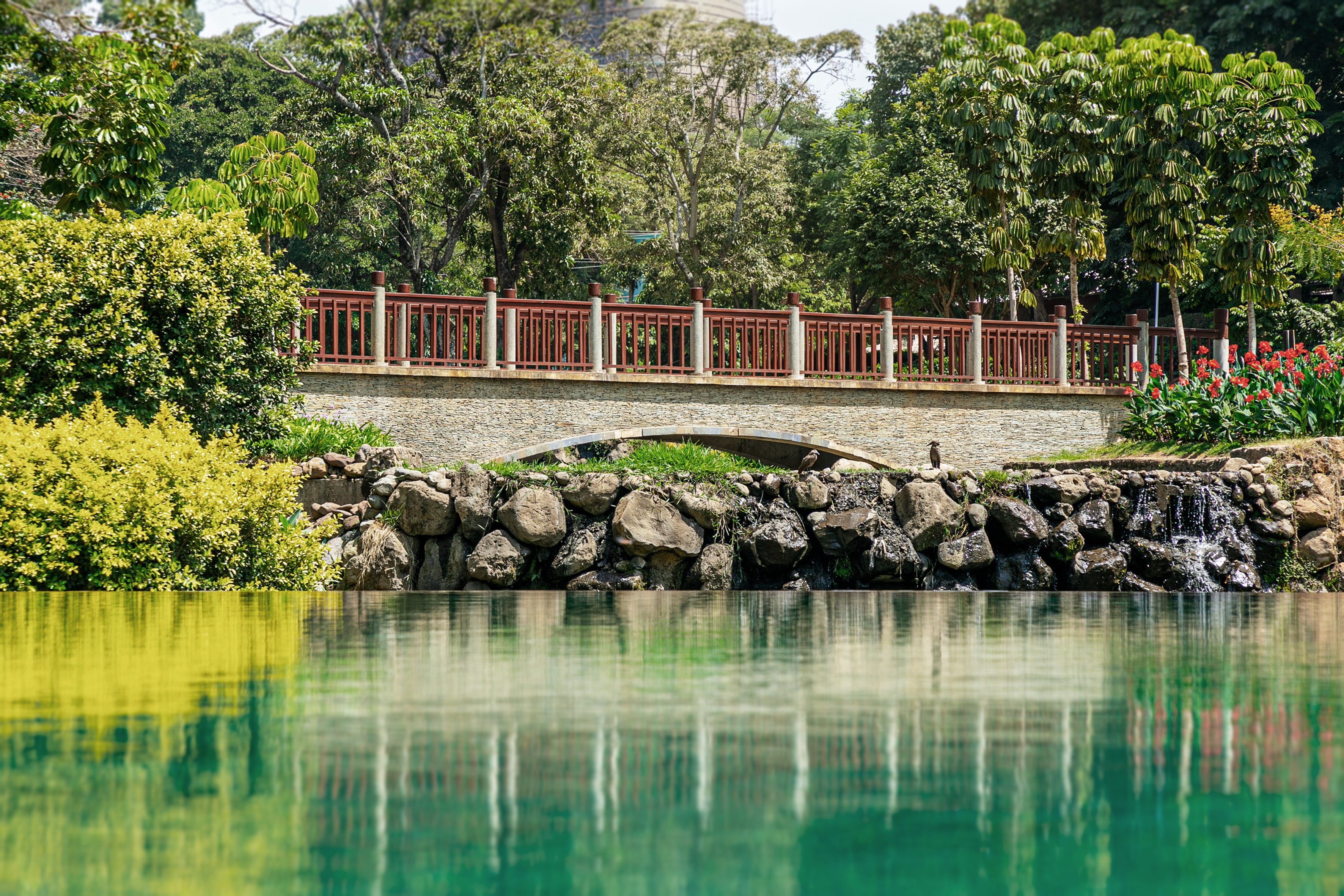 Park bridge over green pond with waterfall and lush reflections.