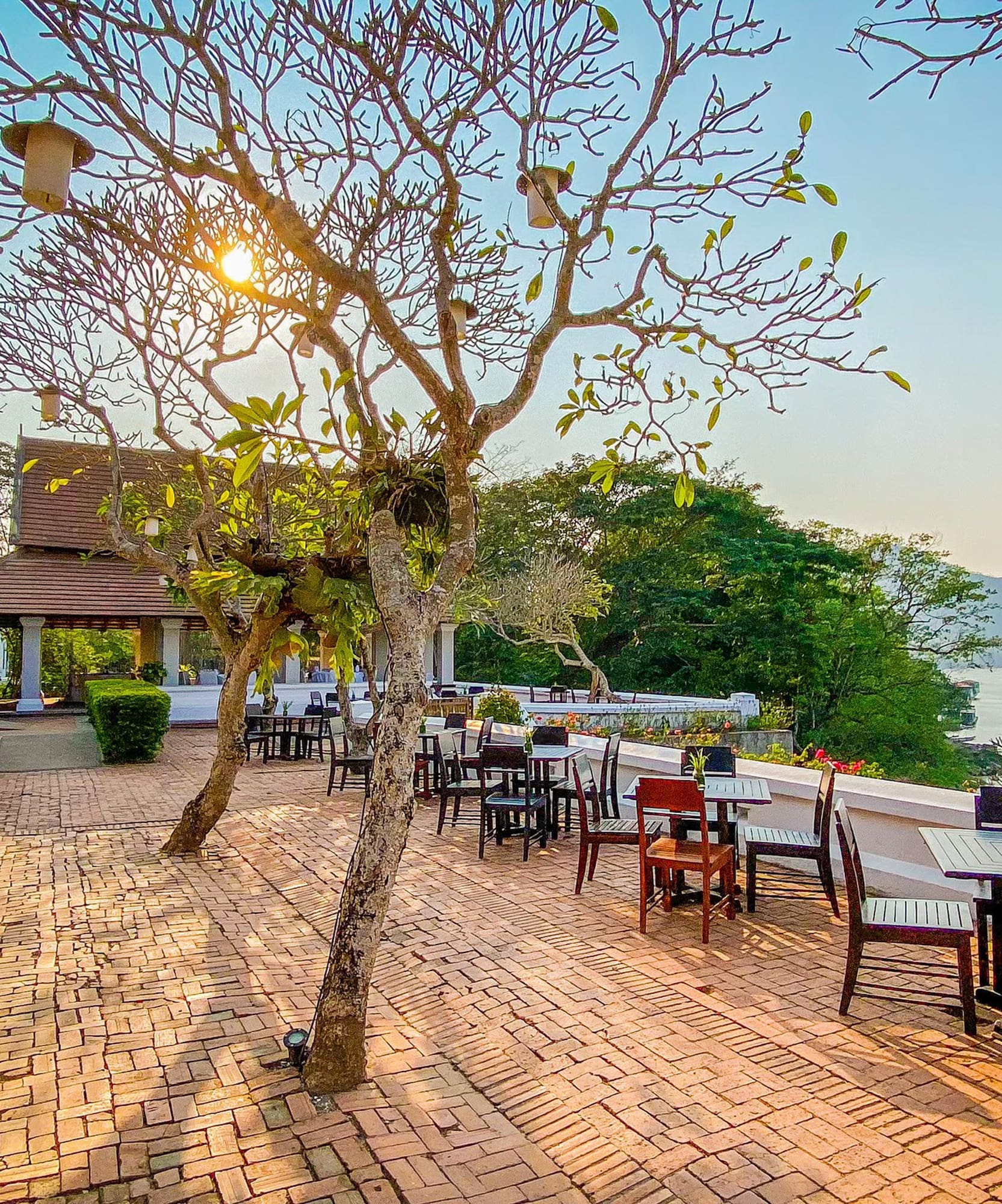a tree with chairs and tables on a brick patio