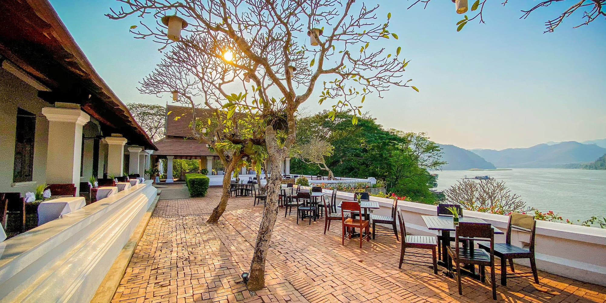 a tree with chairs and tables on a brick patio