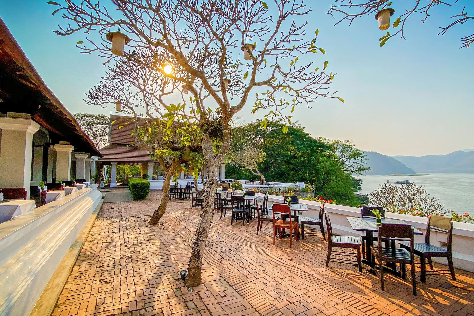 a tree with chairs and tables on a brick patio