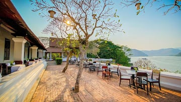 a tree with chairs and tables on a brick patio