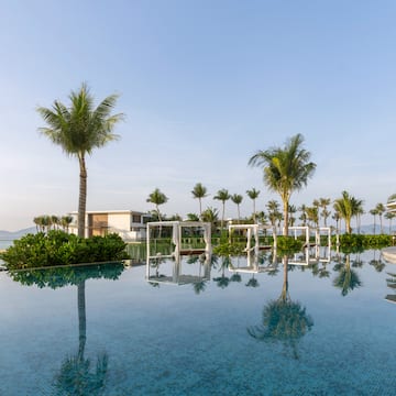 a pool with palm trees and a building