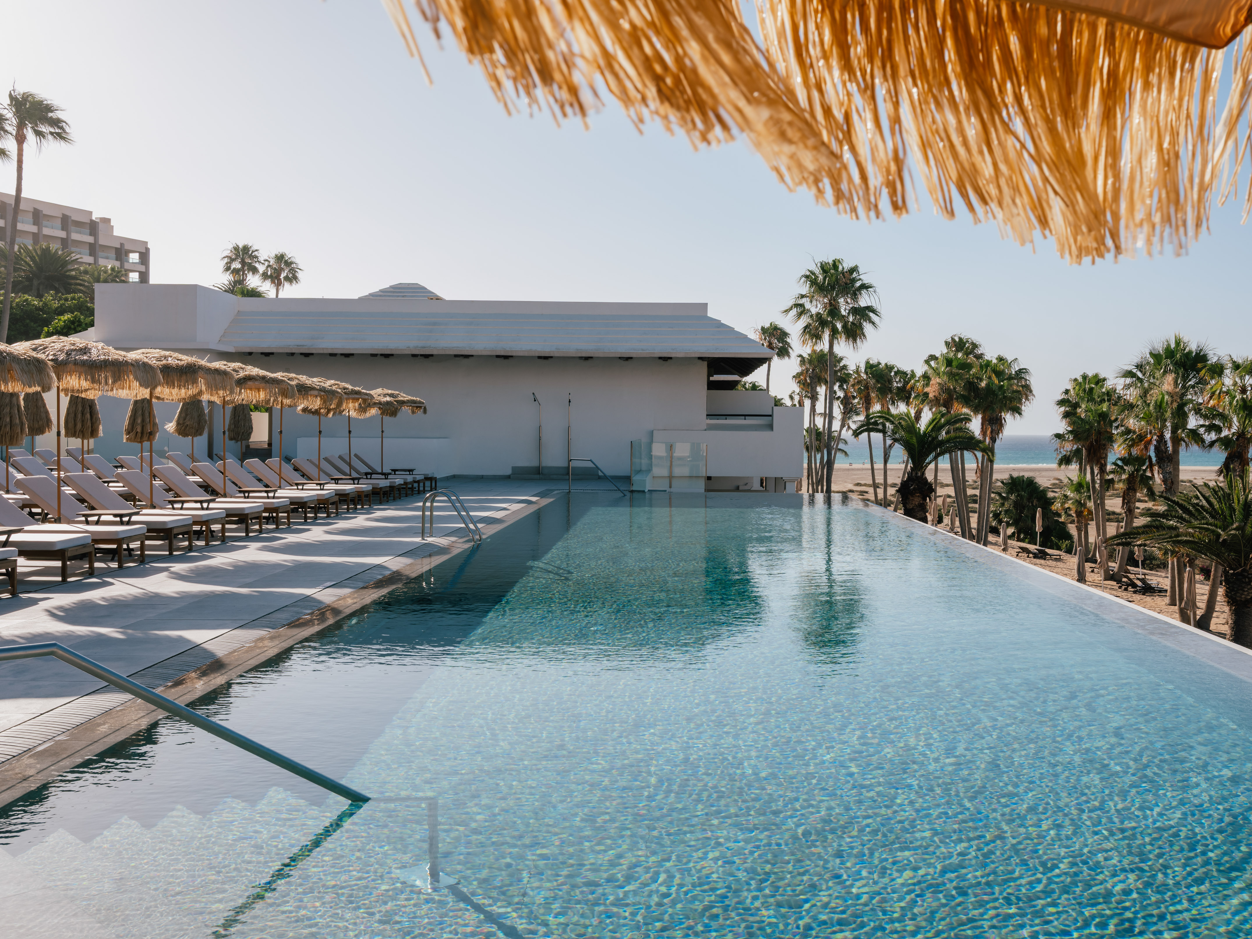 Infinity pool at tropical resort with palm trees, sun loungers, beach.