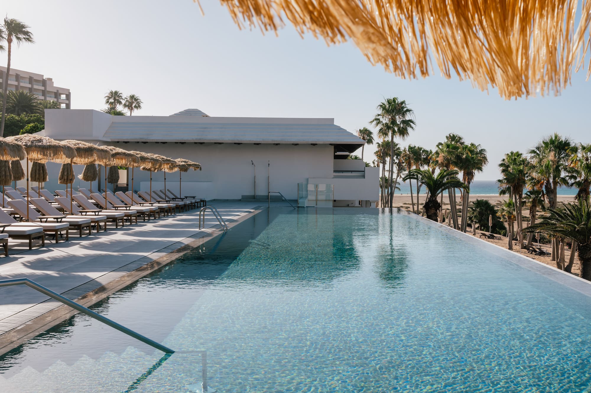Infinity pool at a tropical resort with sun loungers, palm trees, and ocean.