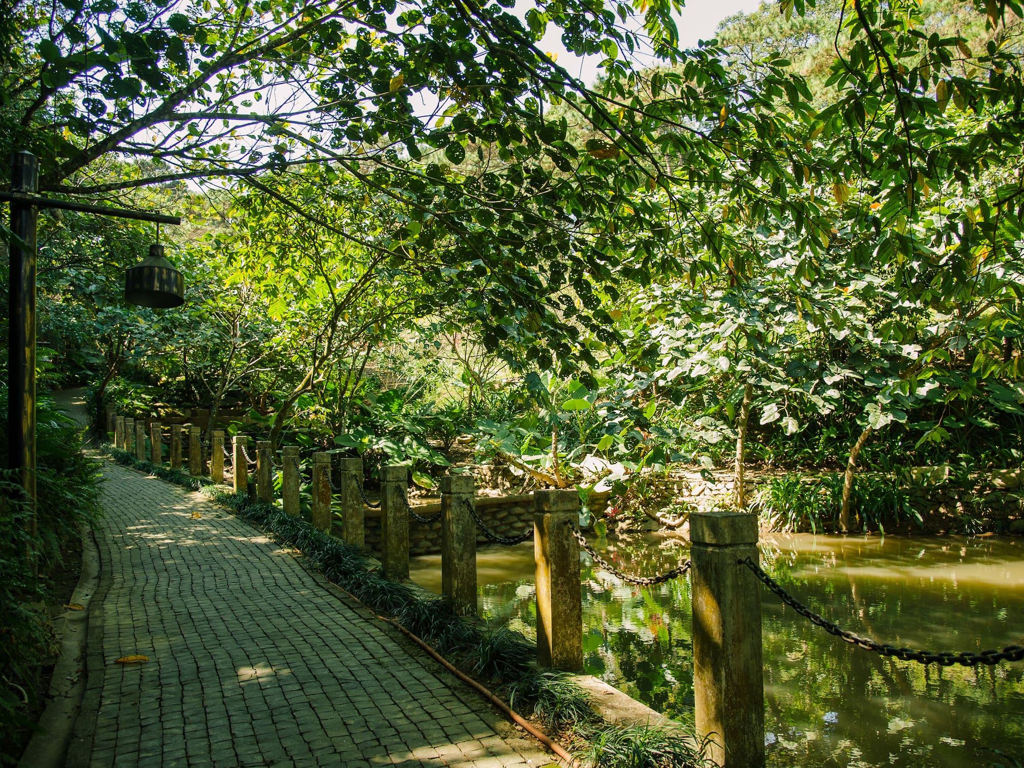 a path with a river and trees