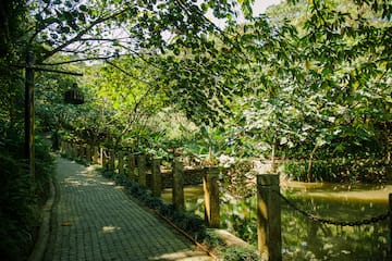 a path with a river and trees