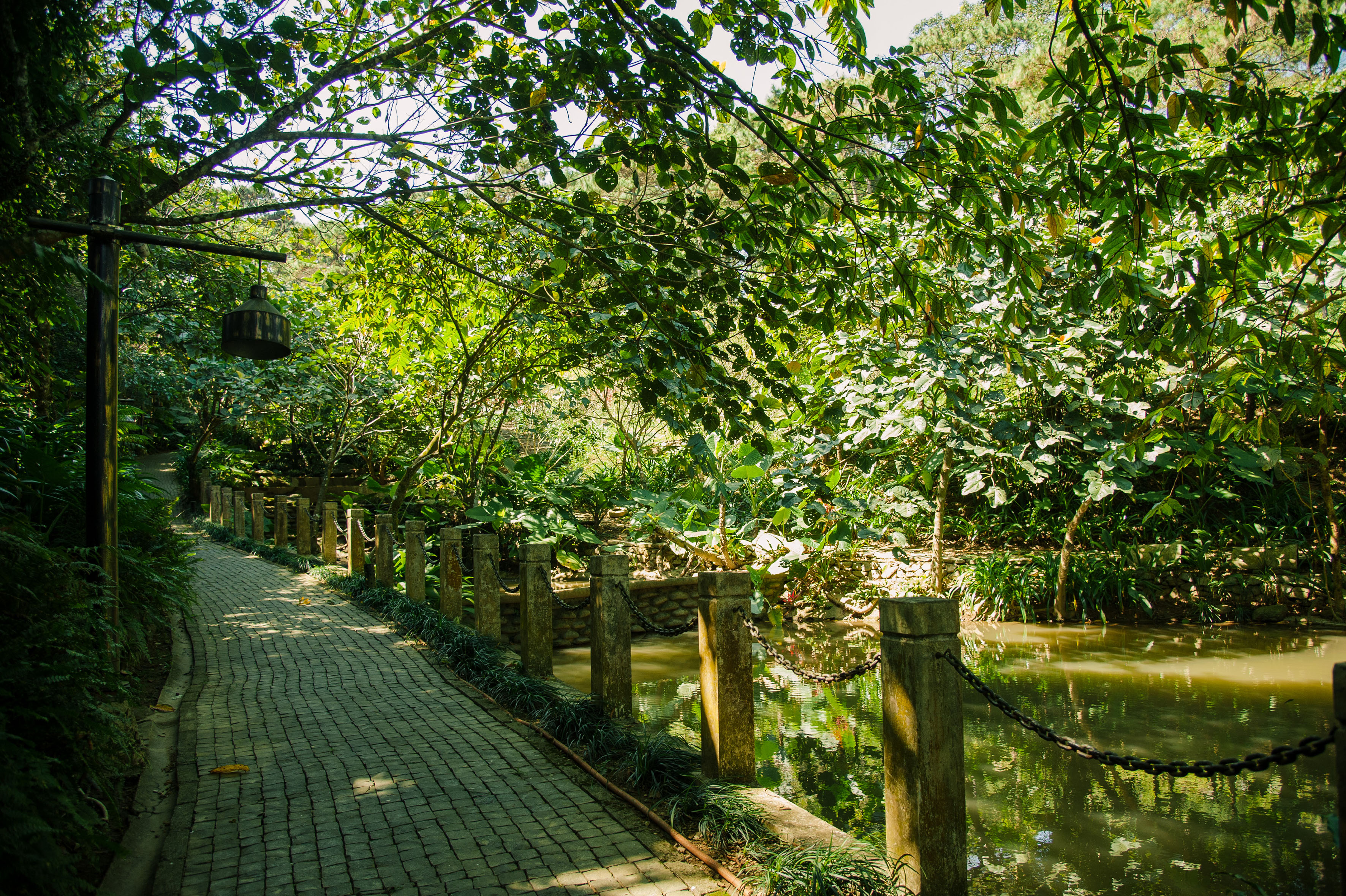 a path with a river and trees