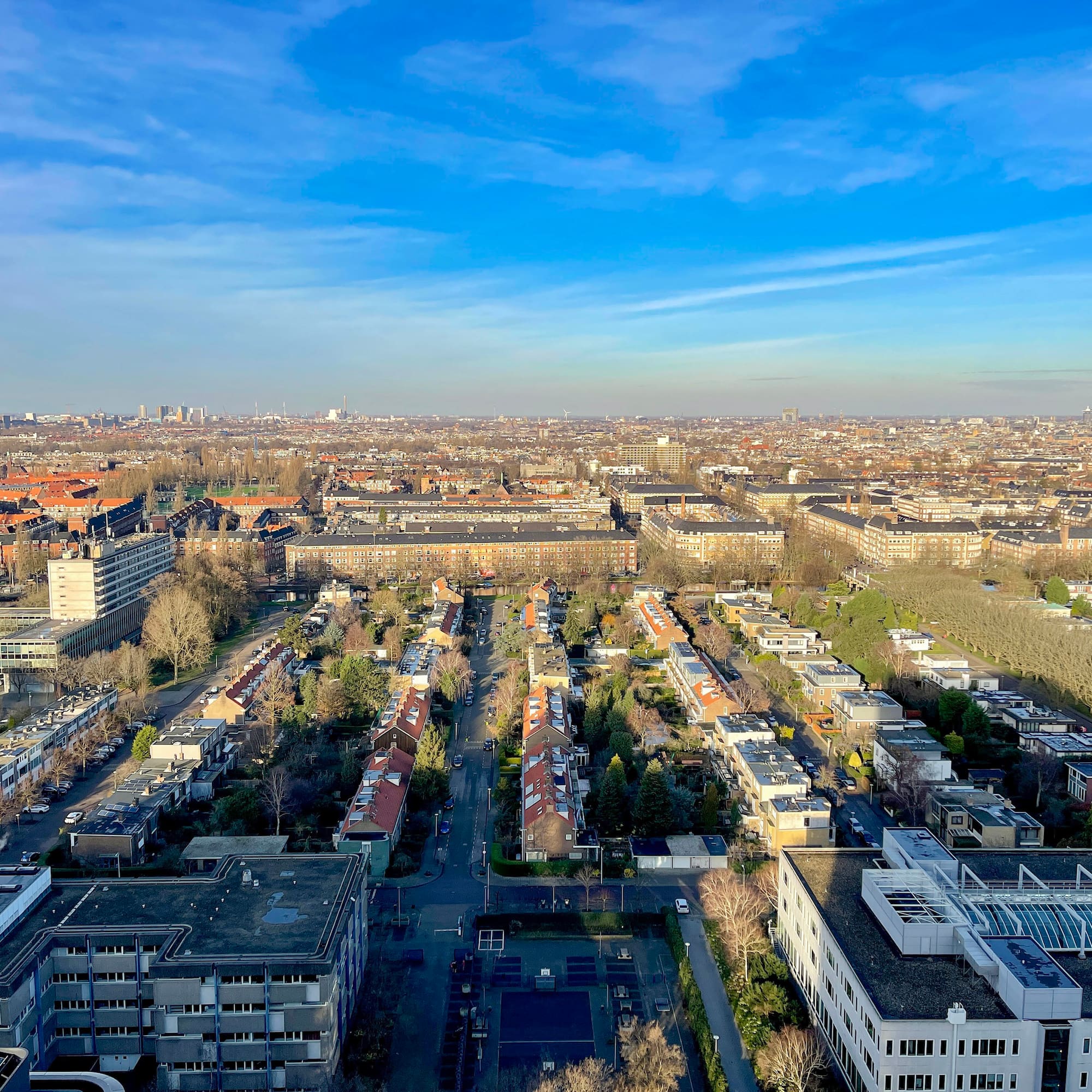 a city with many buildings and trees