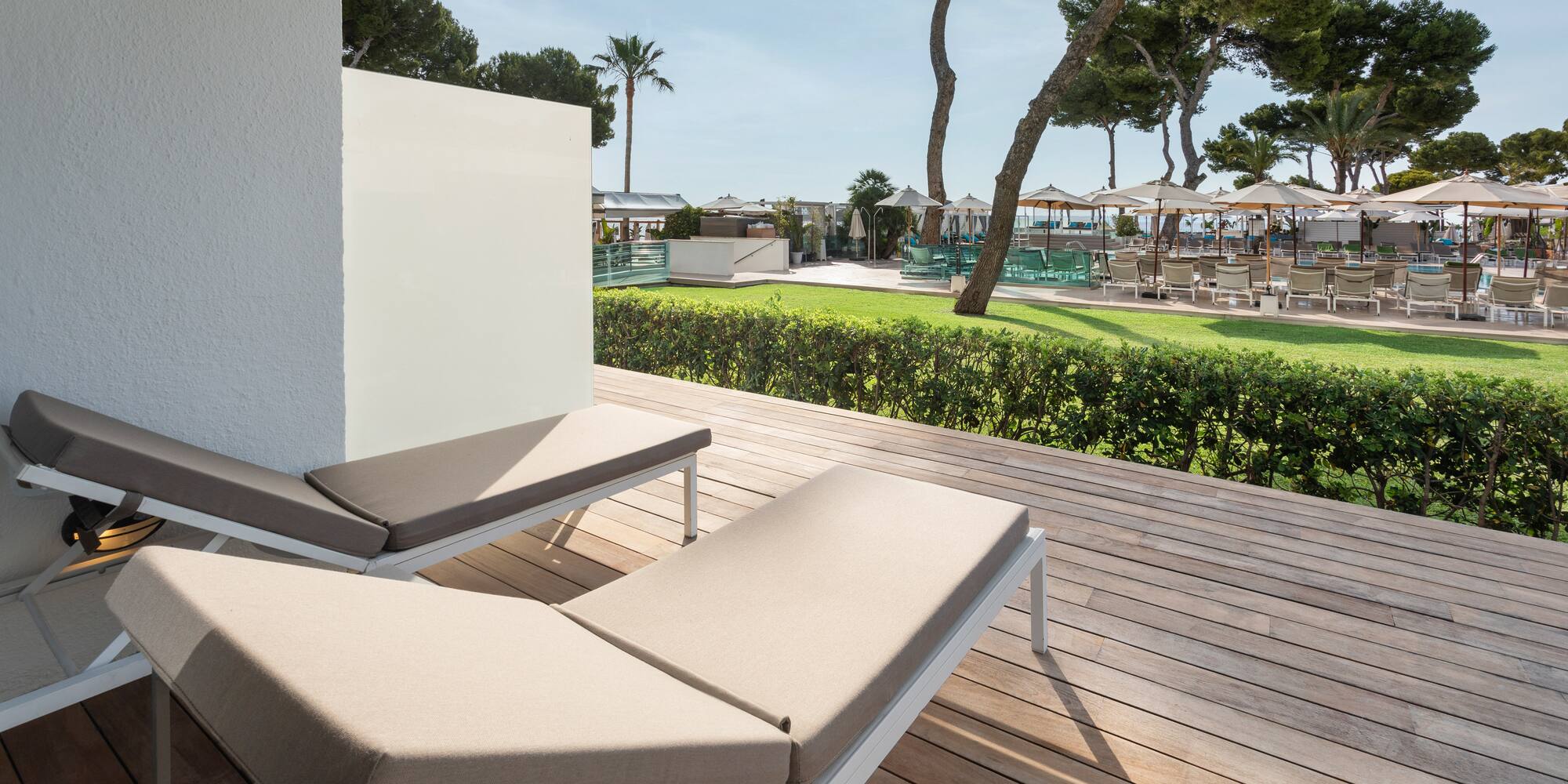 a deck with chairs and trees