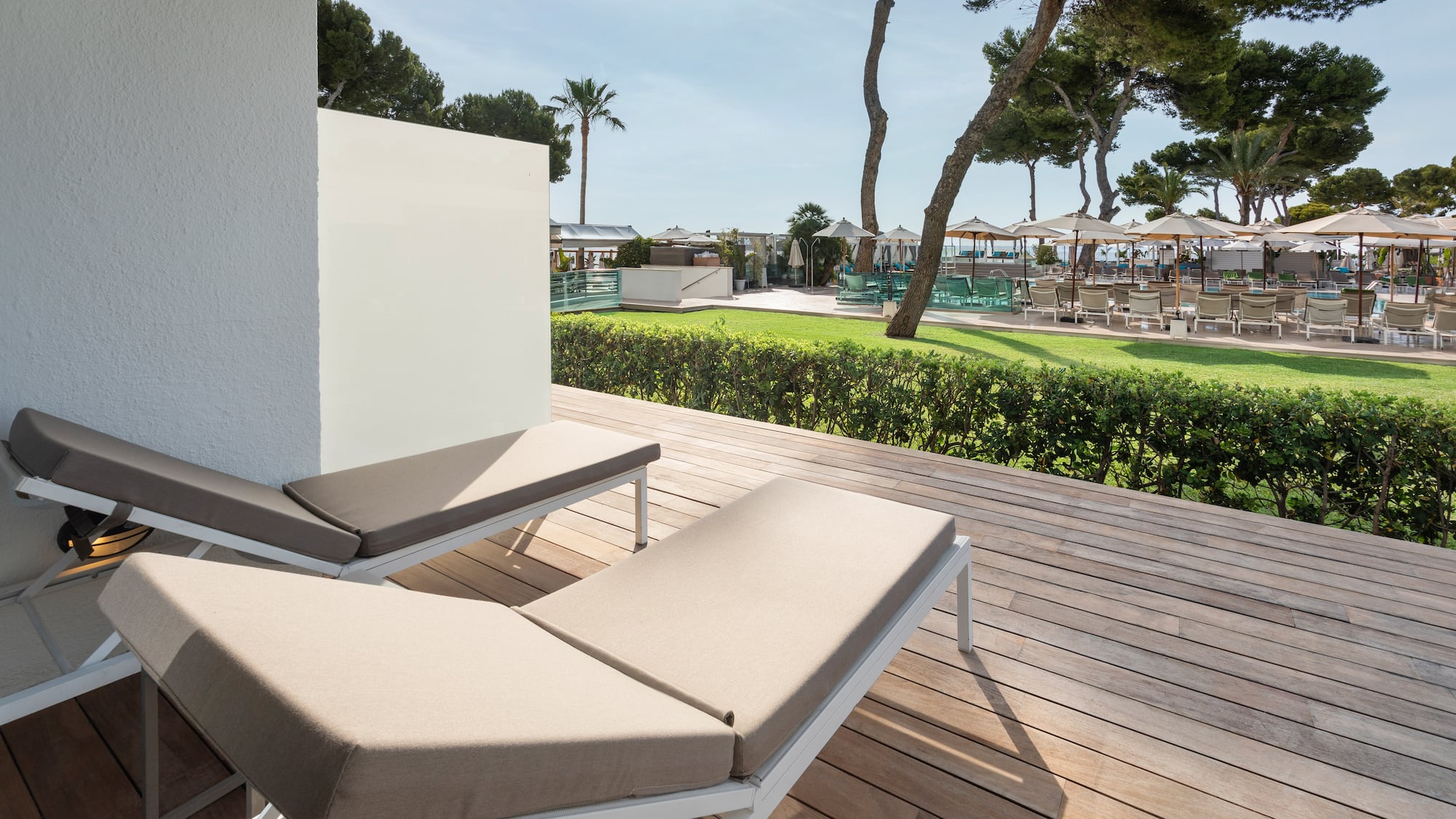 a deck with chairs and trees