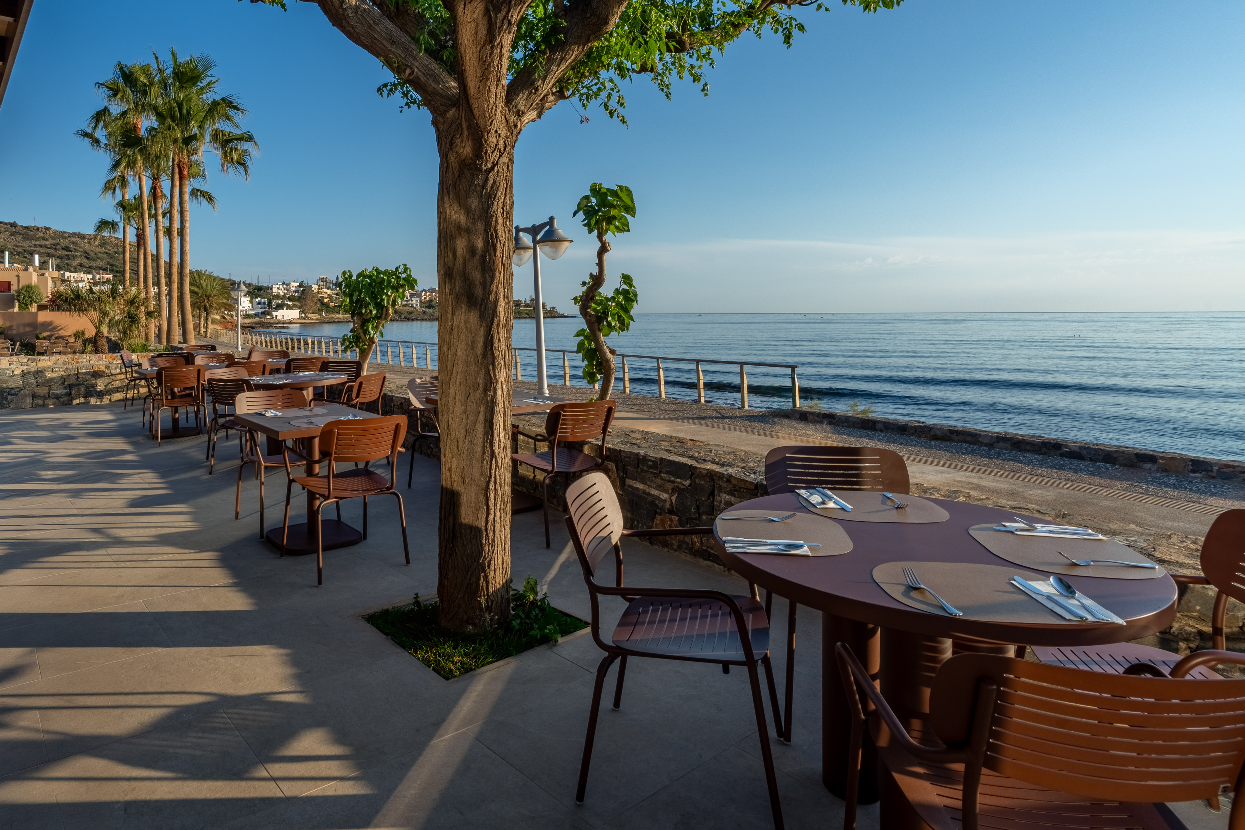 Coastal restaurant terrace with set tables, ocean view, and palm trees.