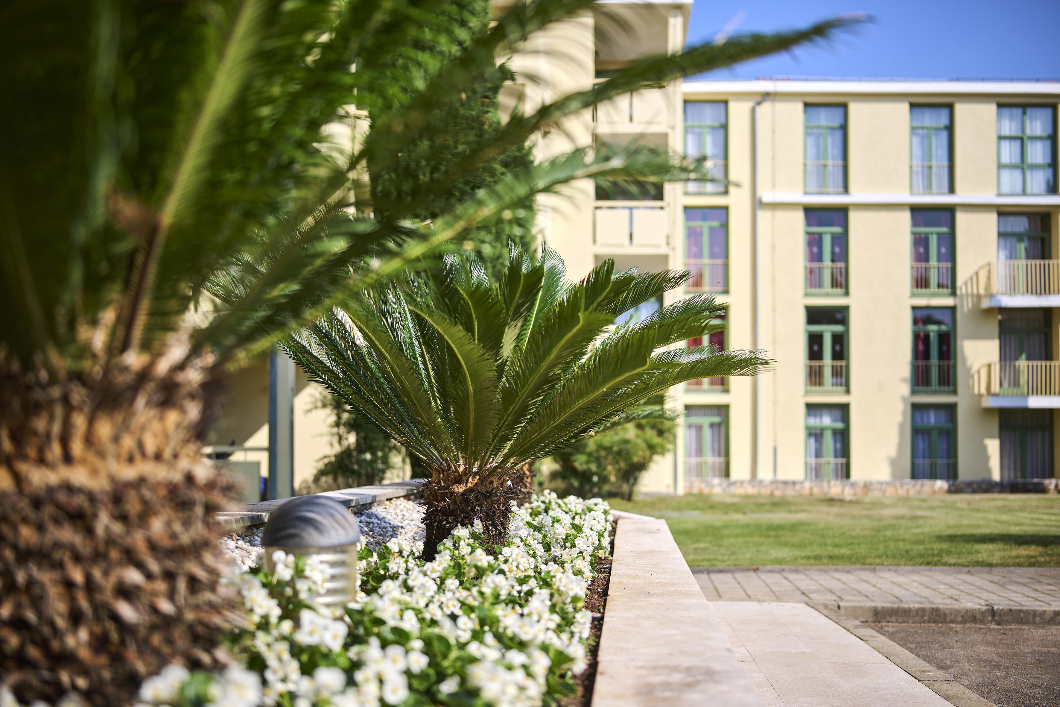 a palm trees in front of a building