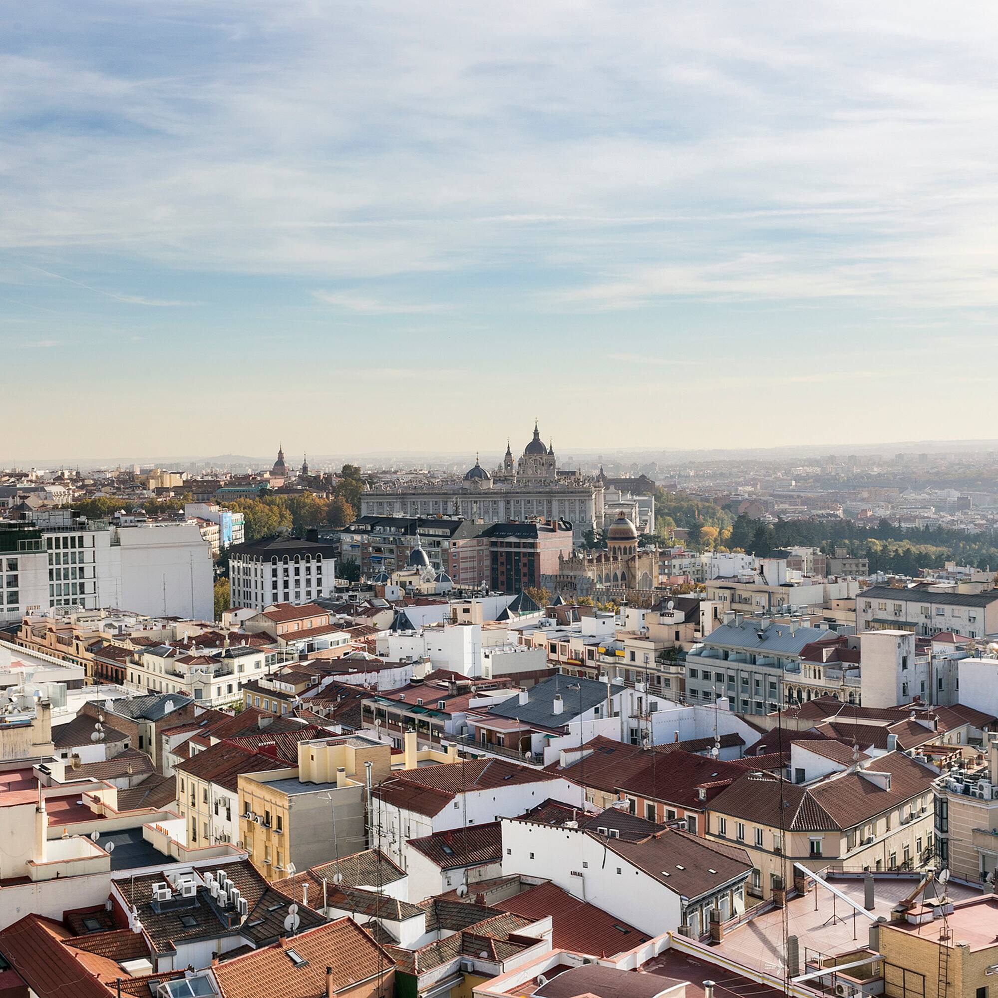 Madrid panorama with Royal Palace, Almudena Cathedral, and rooftops.