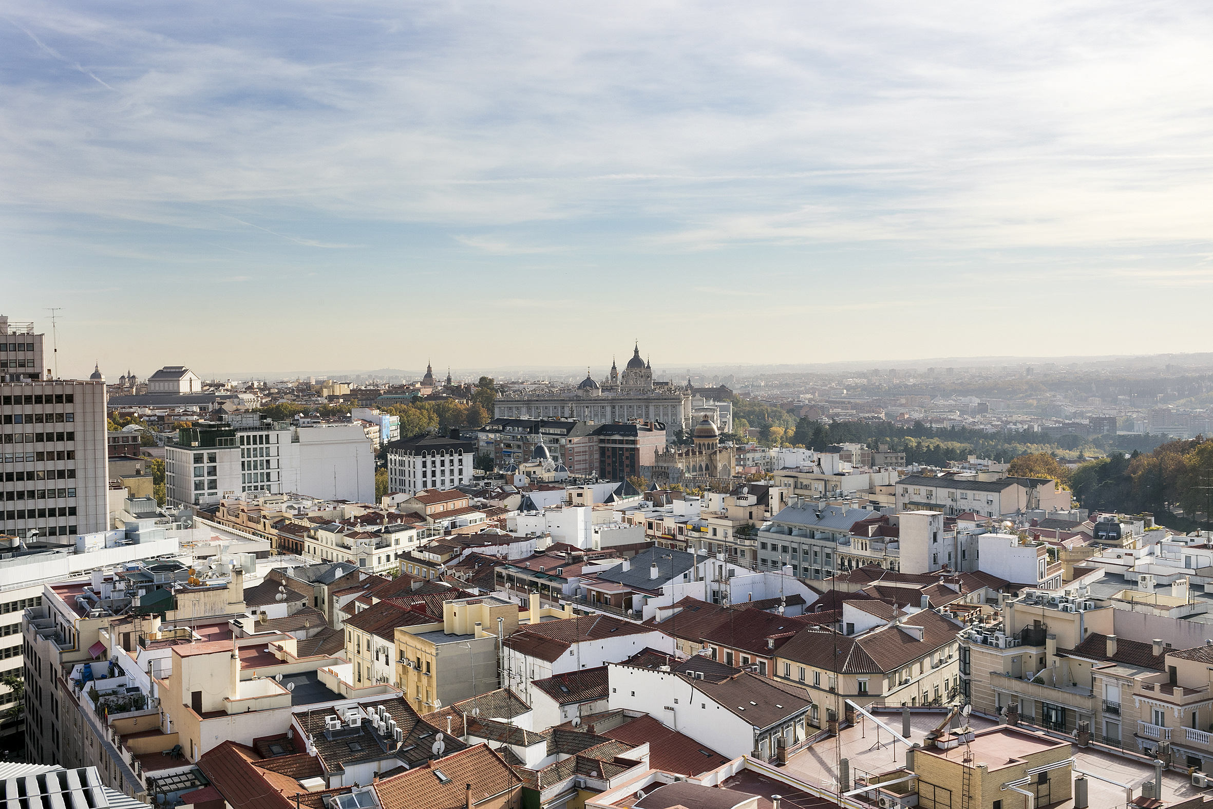 Madrid panorama with Royal Palace, Almudena Cathedral, and rooftops.