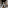 Elegant restaurant interior, set tables, wicker chairs, tall paneled windows.