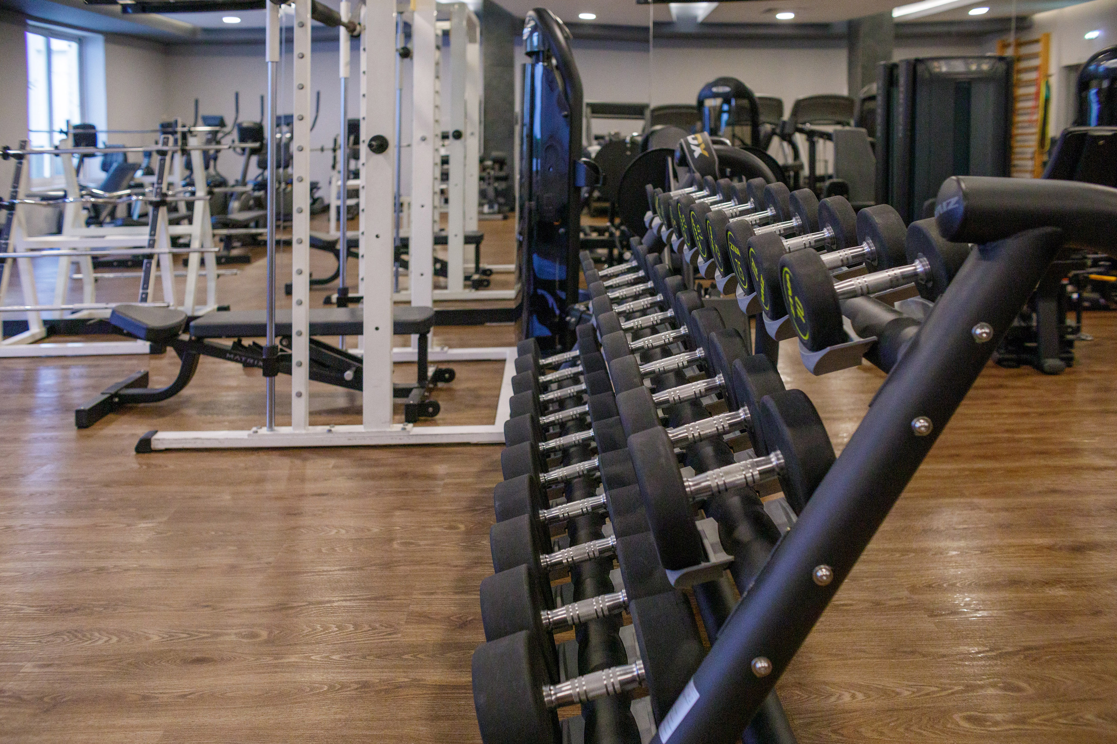 Rows of dumbbells in a bright gym with weightlifting and cardio equipment.