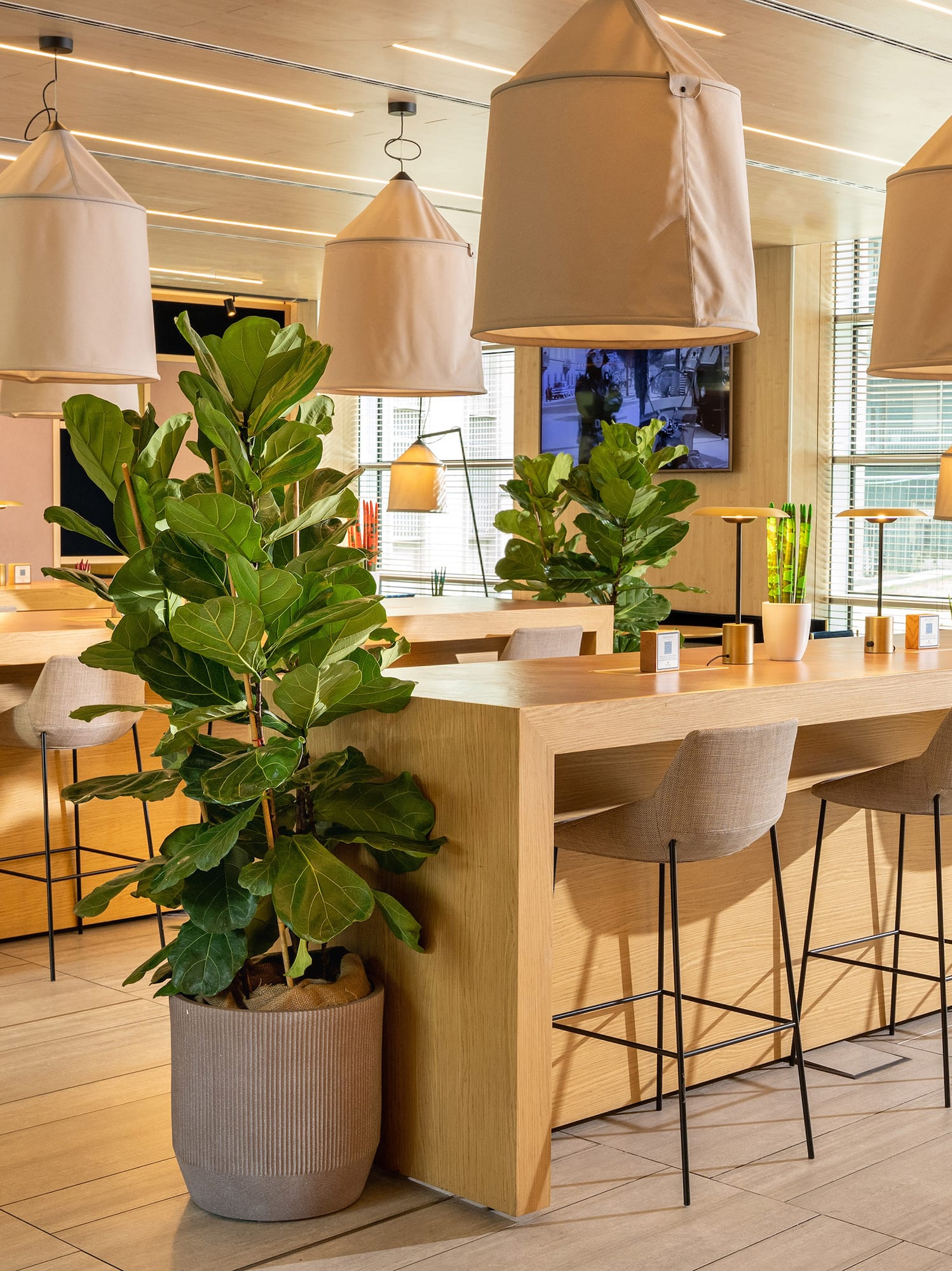 a room with tables and chairs and plants