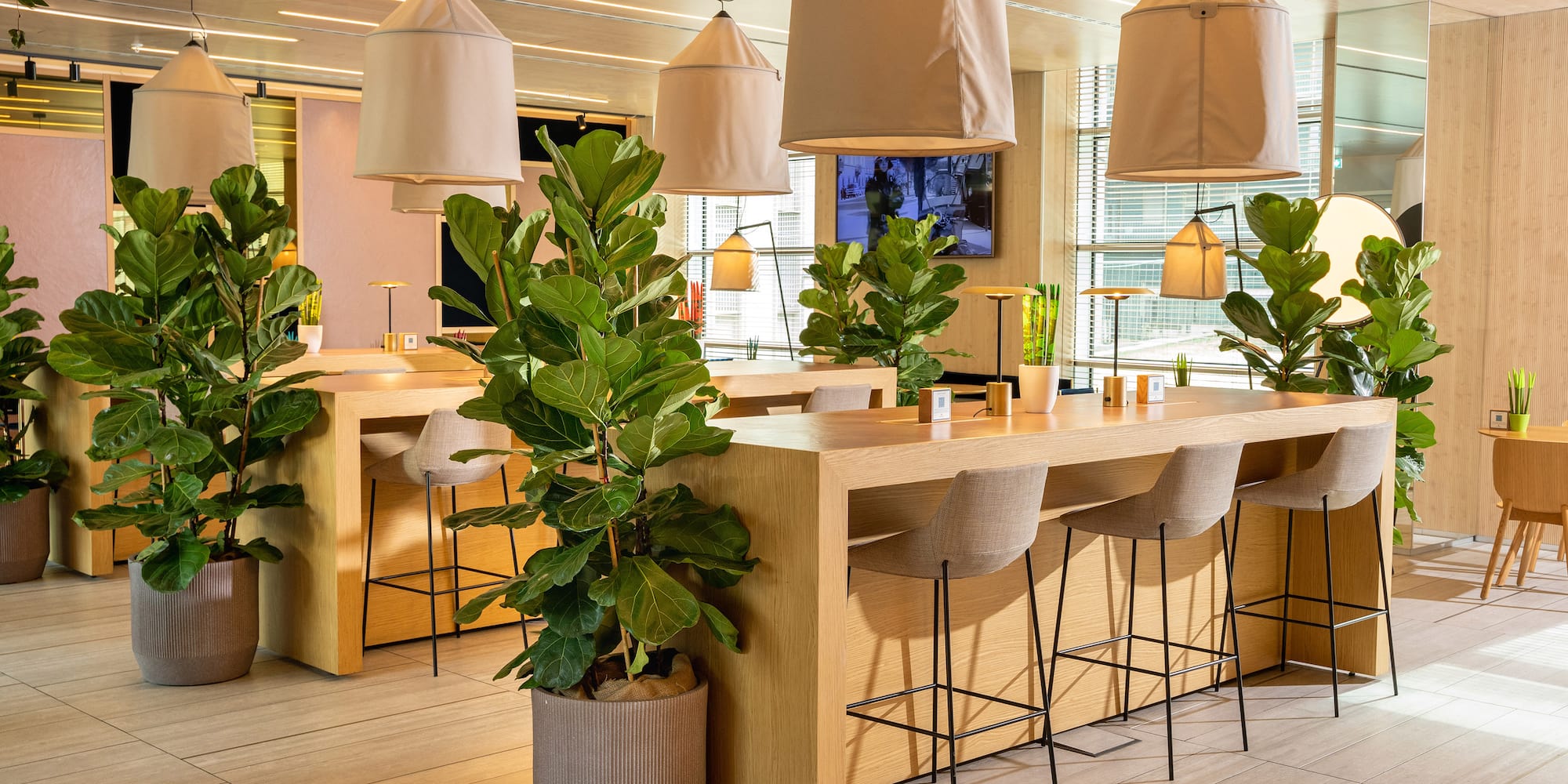 a room with tables and chairs and plants