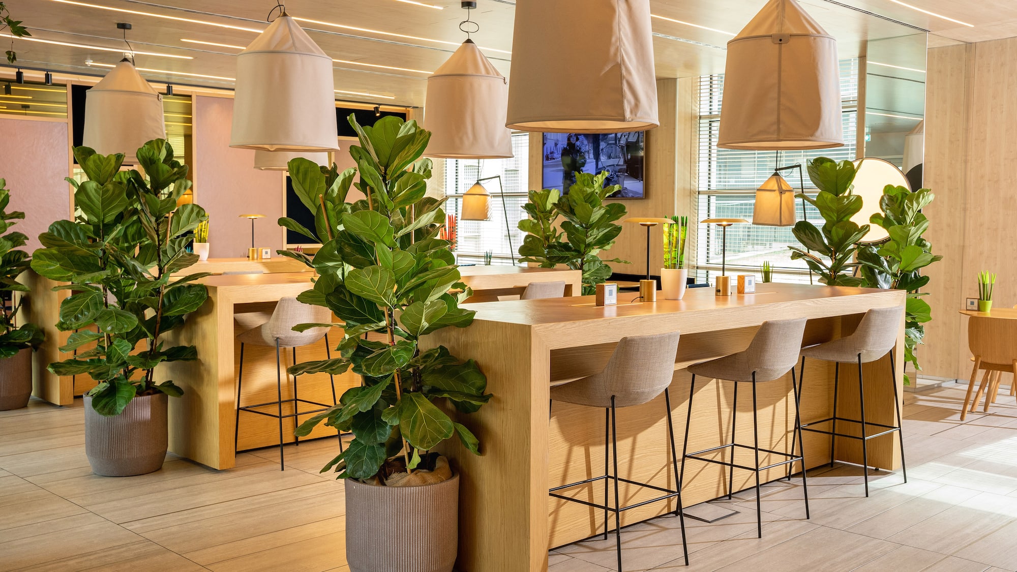 a room with tables and chairs and plants