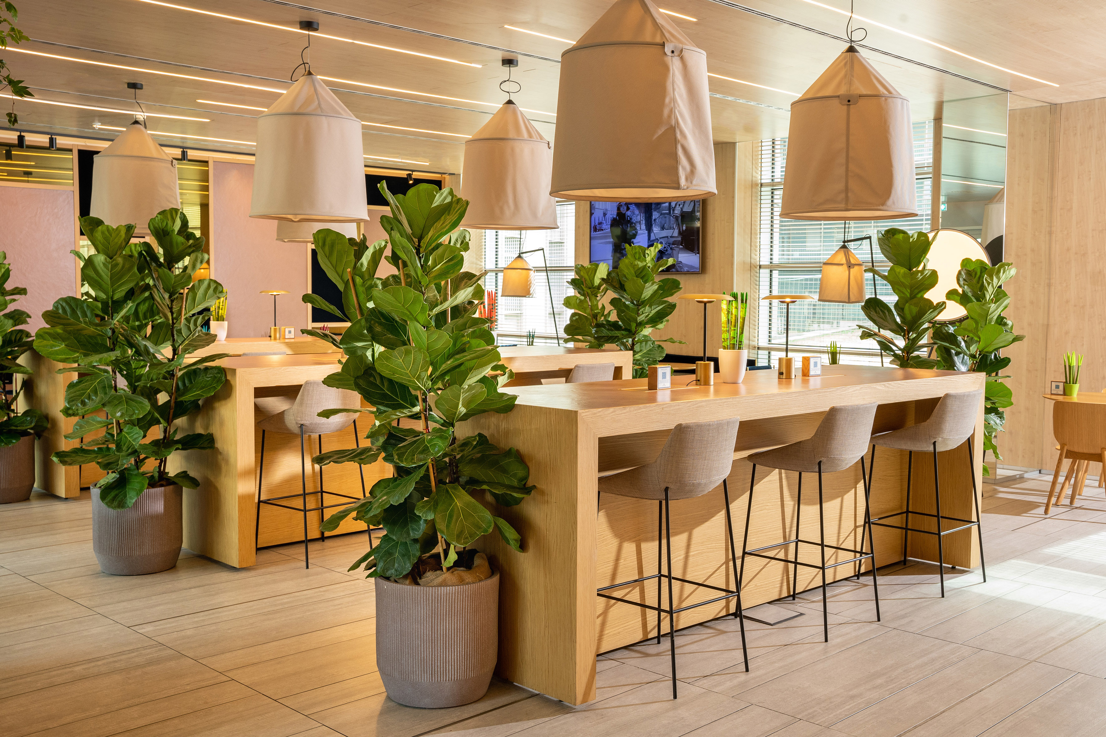 Modern co-working space with wooden tables, bar stools, and green plants.