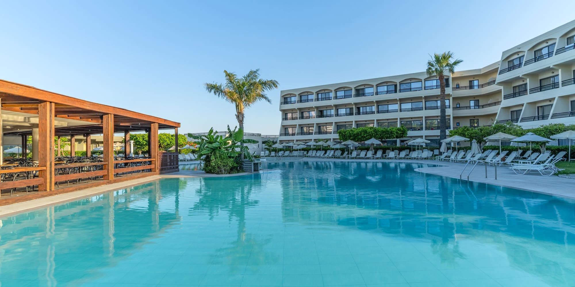 Hotel swimming pool with palm trees, sun loungers, and resort building.