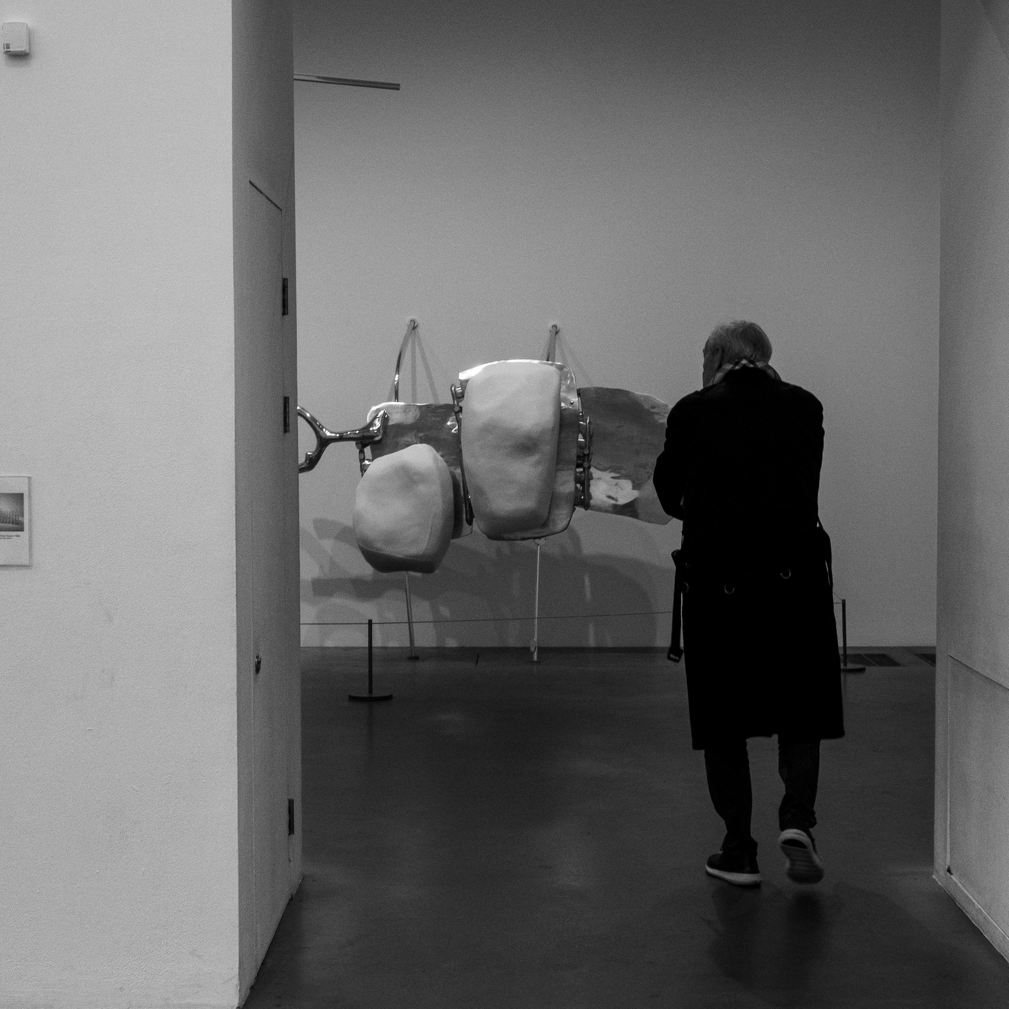 a man looking at a sculpture