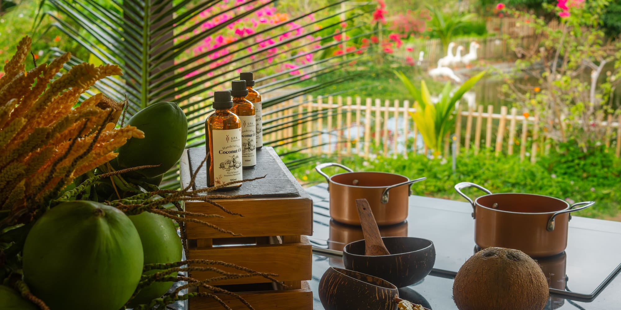 Coconut oil bottles, fresh coconuts, and spa tools in a tropical garden.