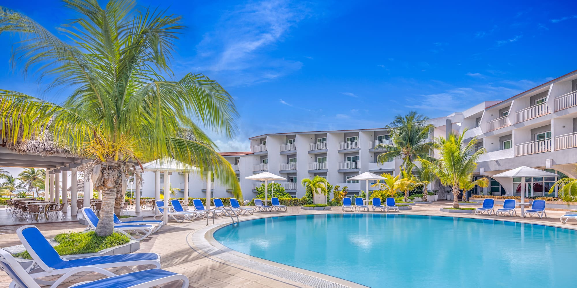 a pool with palm trees and chairs