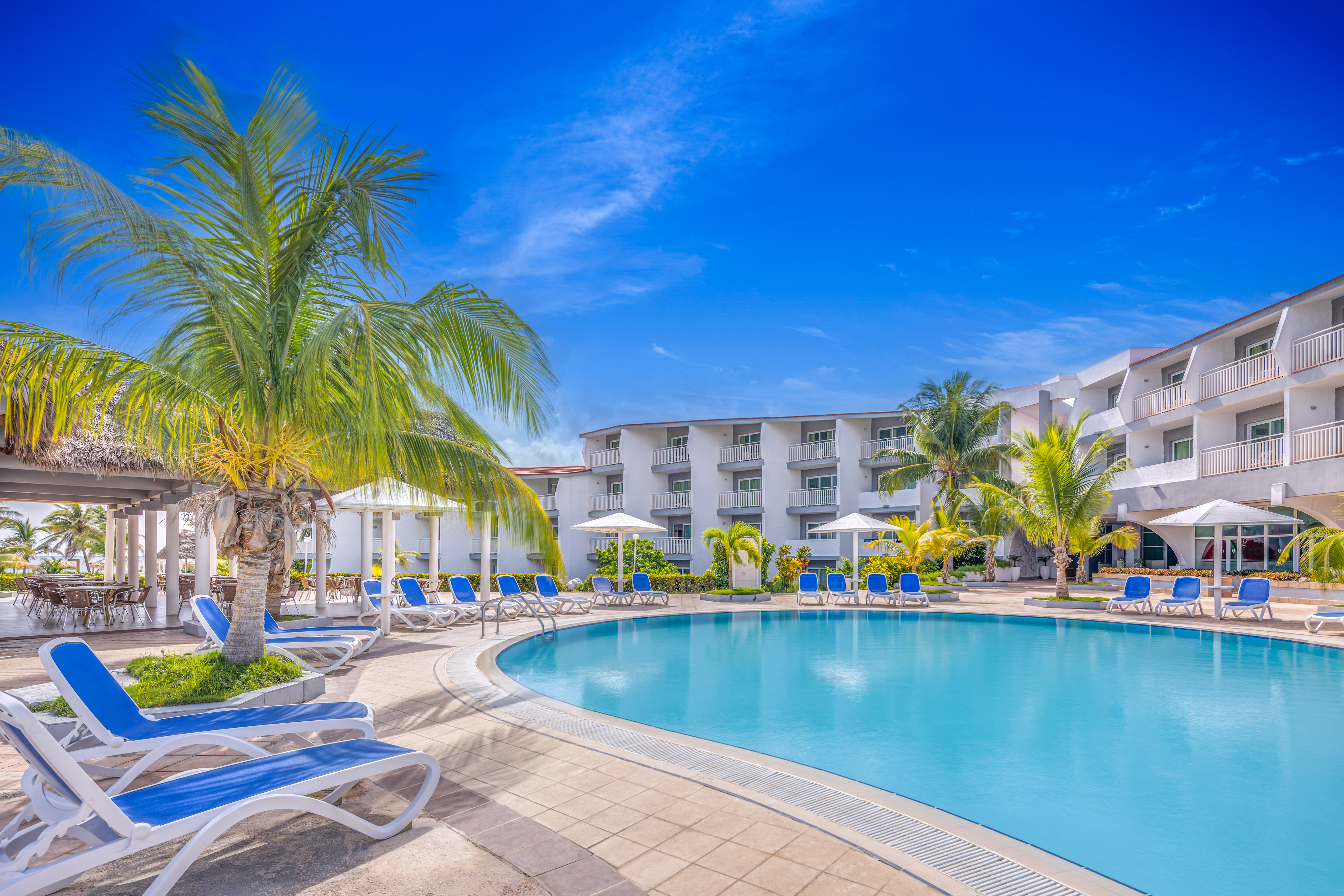 a pool with palm trees and chairs