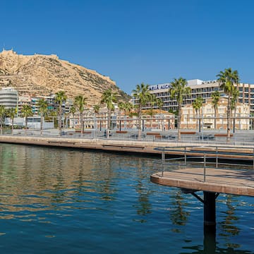 a body of water with a body of water and a city with palm trees