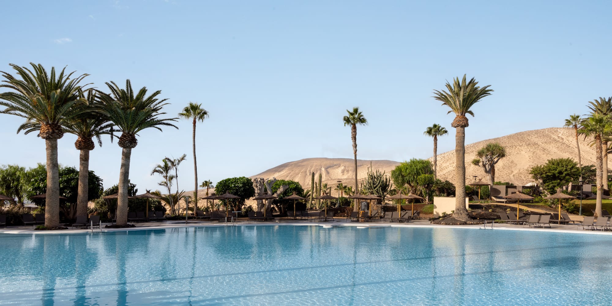 a pool with palm trees and mountains in the background