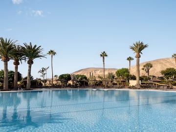 a pool with palm trees and mountains in the background