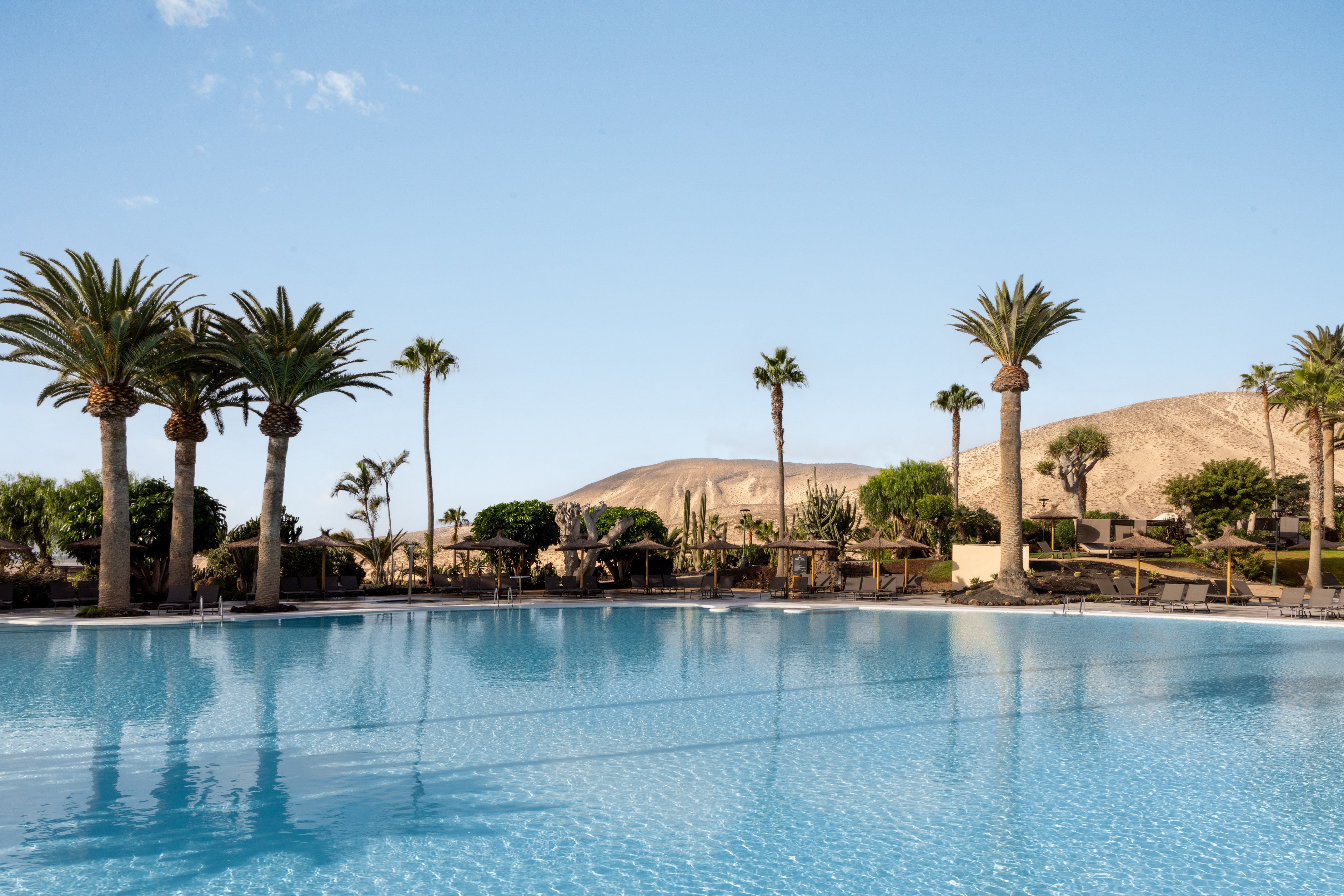 Resort swimming pool with palm trees, lounge chairs, and a sandy mountain backdrop.