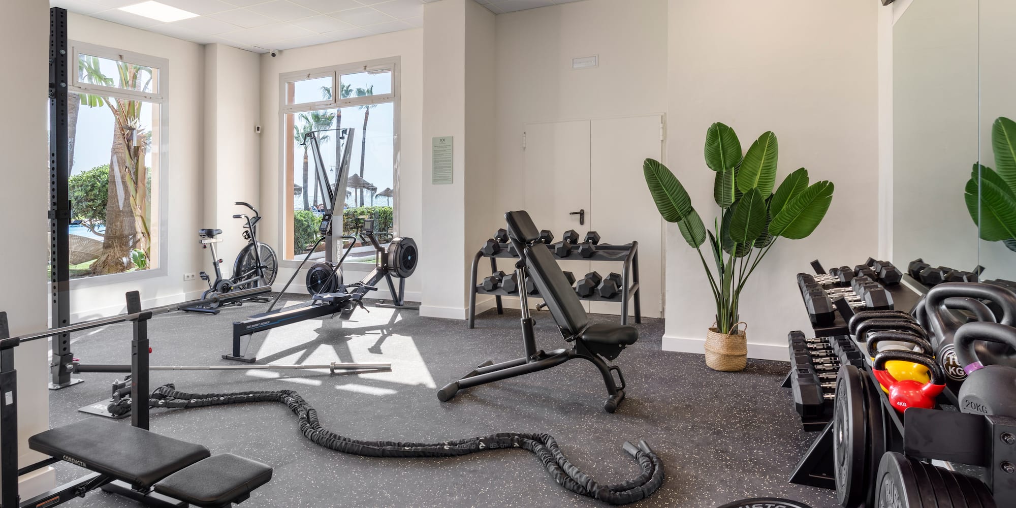 Resort gym with dumbbells, cardio machines, and a tropical palm tree view.