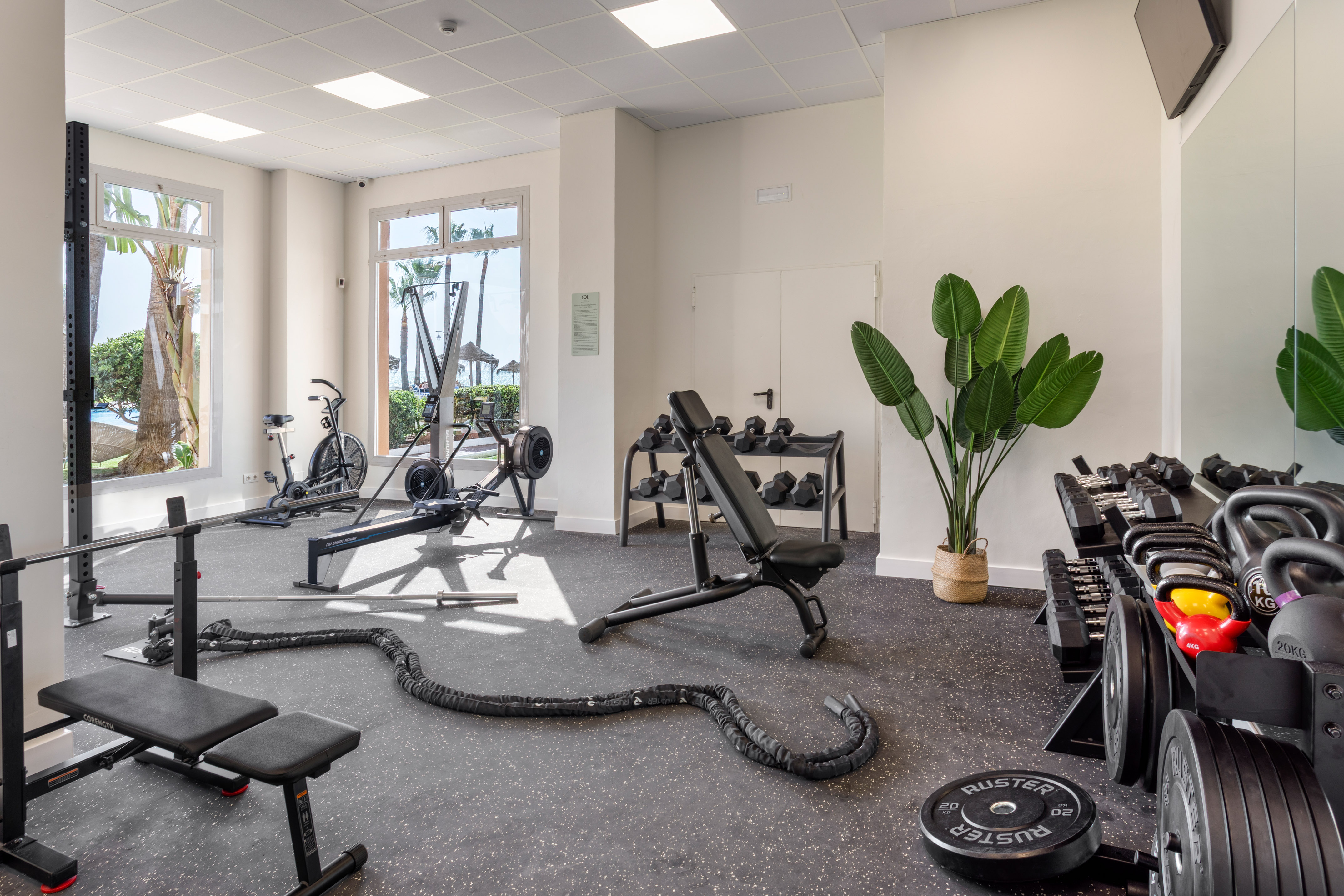 Resort gym with dumbbells, cardio machines, and a tropical palm tree view.