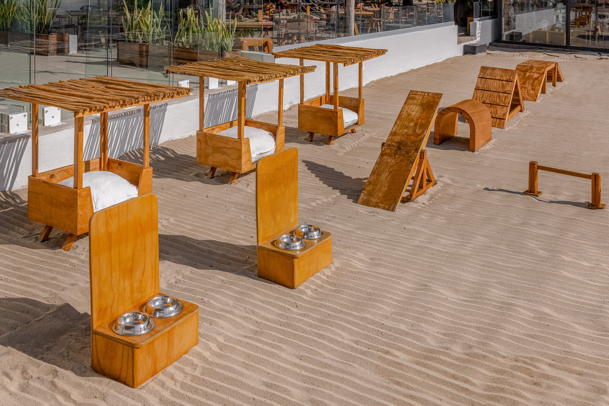Espacio pet-friendly en arena: camas con sombra, comederos y pista de agilidad.