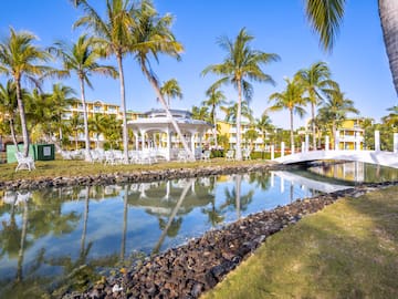 a pool of water with palm trees and a gazebo